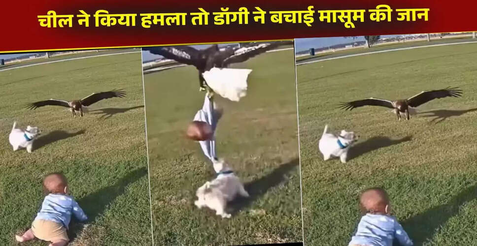 बच्चे की जान बचाने वाला कुत्ता: वायरल वीडियो ने किया सबको हैरान