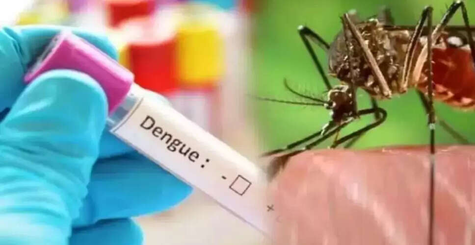 नोएडा में डेंगू के मामलों में तेजी, जानें लक्षण और बचाव के उपाय