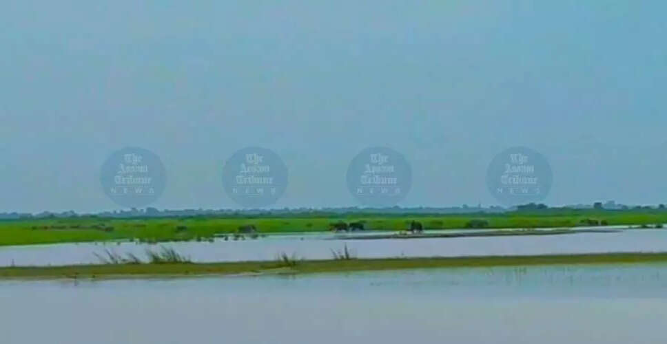 जोरहाट और माजुली के बीच फेरी सेवाएं बंद, हाथियों का झुंड बना बाधा