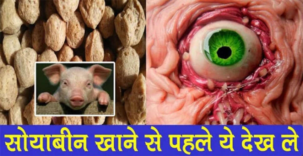 सोयाबीन के सेवन से जुड़ी महत्वपूर्ण जानकारी: स्वास्थ्य पर प्रभाव