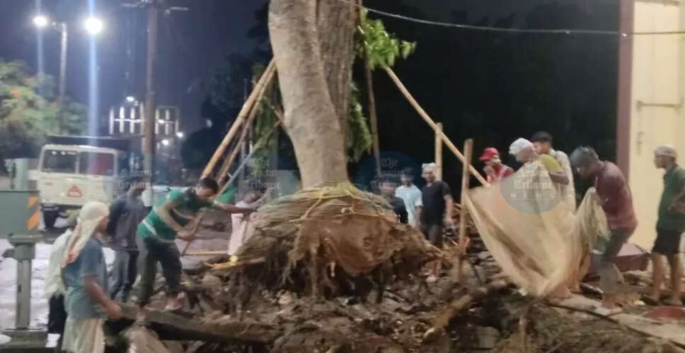 गुवाहाटी में पेड़ों का स्थानांतरण: विकास या विनाश?
