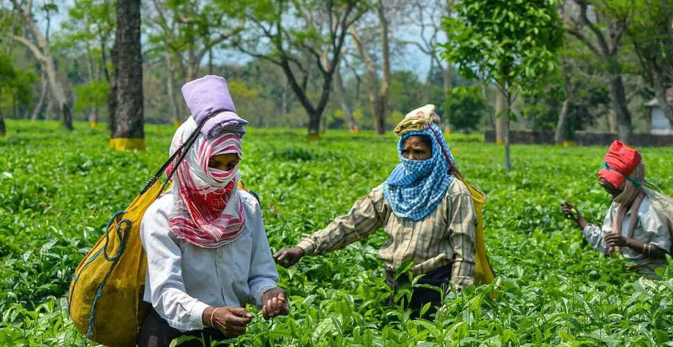 चाय बागान समुदाय के प्रति भाजपा सरकार की वादाखिलाफी पर कांग्रेस का हमला