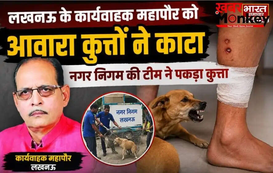 लखनऊ में आवारा कुत्तों का आतंक: कार्यवाहक महापौर पर हुआ हमला