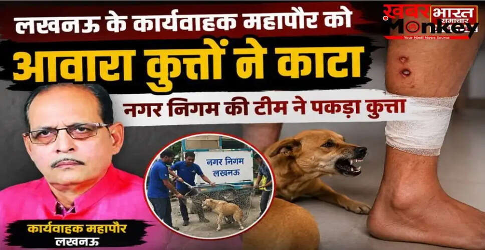 लखनऊ में आवारा कुत्तों का आतंक: कार्यवाहक महापौर पर हुआ हमला