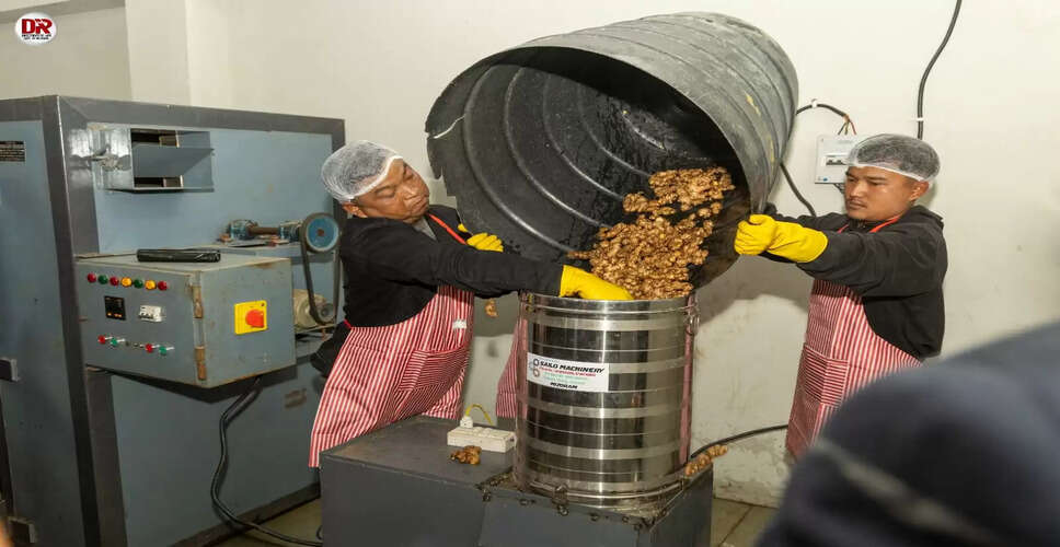 मिजोरम में अदरक की खरीद में बाधाएं, किसान सीधे बिक्री की ओर बढ़े