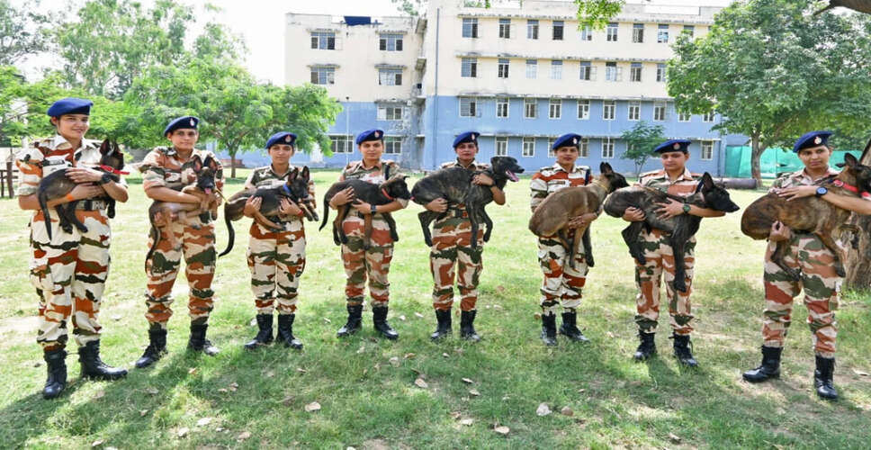 रेमो: भारत-तिब्बत सीमा पुलिस का अद्वितीय कॉम्बैट डॉग