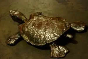 कछुए की मूर्ति लगाने के सही तरीके: वास्तु के अनुसार दिशा का ध्यान रखें