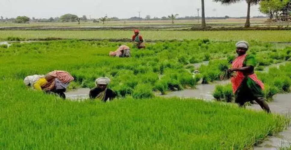 तमिलनाडु के किसानों की वित्तीय संकट: सहकारी ऋणों में देरी से बढ़ता निजी ऋण का बोझ