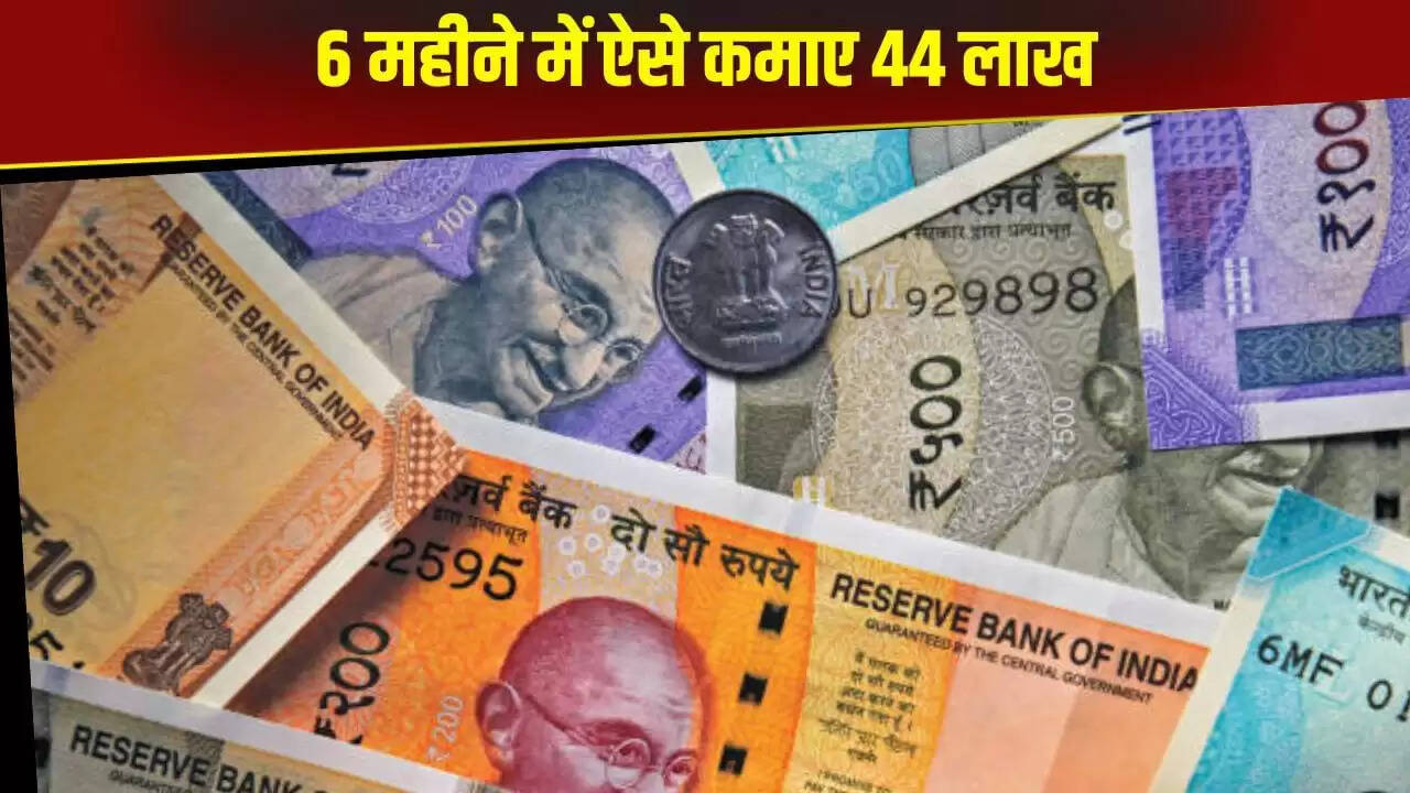 एक नौकरी खोने के बाद युवा उद्यमी ने 44 लाख रुपये कमाए