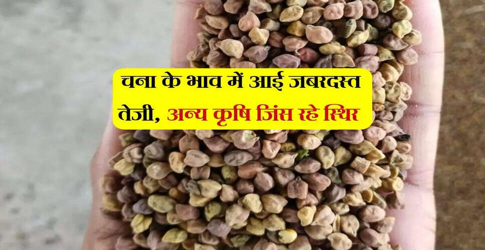 अलवर मंडी में कृषि उपज के भाव: चना स्थिर, सरसों में तेजी की उम्मीद