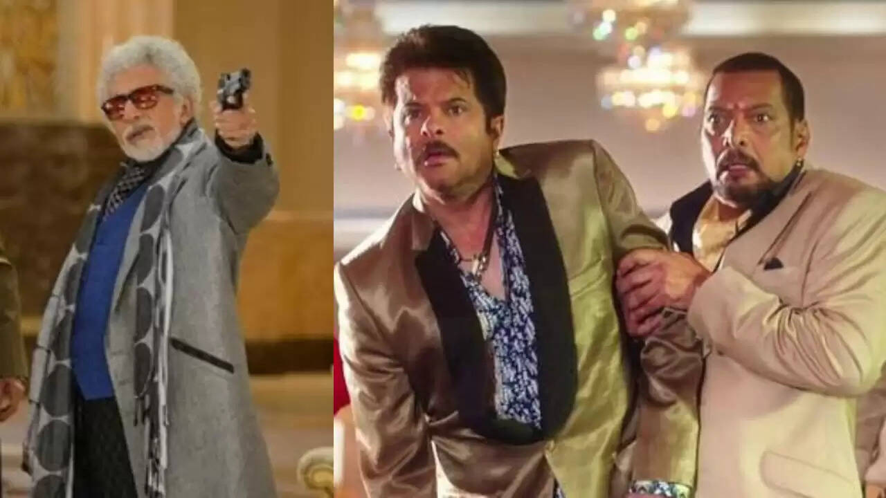 वेलकम फिल्म के 18 साल: जानें उन 18 कलाकारों के बारे में जिन्होंने इसे बनाया सुपरहिट