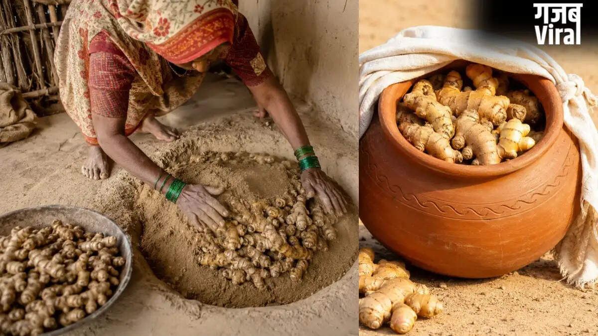 गर्मी में अदरक को ताजा रखने के आसान तरीके