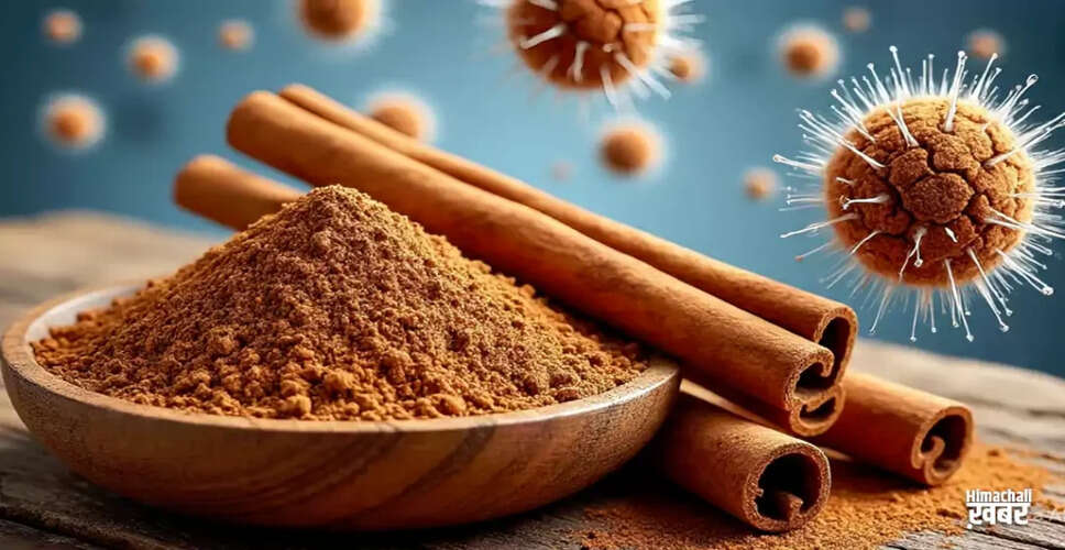 दालचीनी और शहद: स्वास्थ्य के लिए अद्भुत लाभ