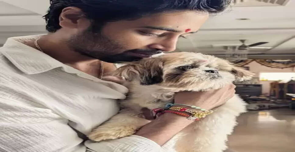 अदिवि शेष ने सीजेआई और दिल्ली सरकार को लिखी चिट्ठी, आवारा कुत्तों से जुड़े आदेश पर पुनर्विचार की मांग