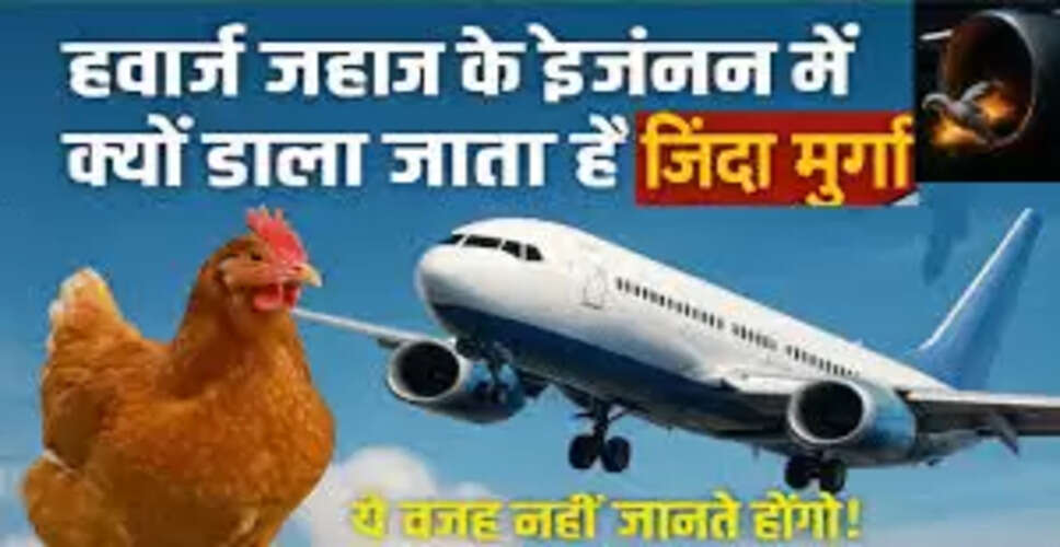 प्लेन की सुरक्षा के लिए चिकन गन टेस्ट: जानें इसकी प्रक्रिया और महत्व