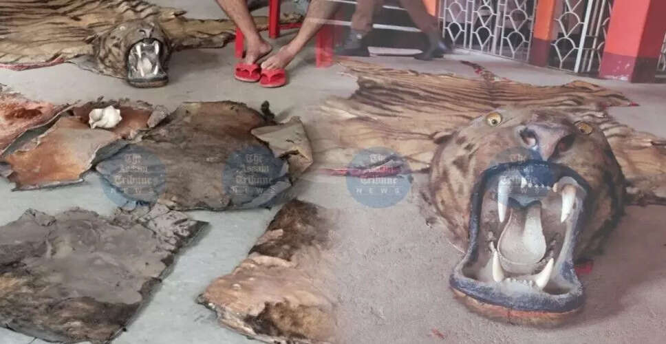गुवाहाटी में बाघ की खाल और हिरण की खालों की बरामदगी