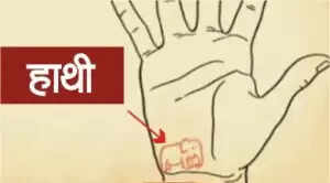 हाथों के भाग्यशाली चिन्ह: जानें आपके भविष्य के बारे में