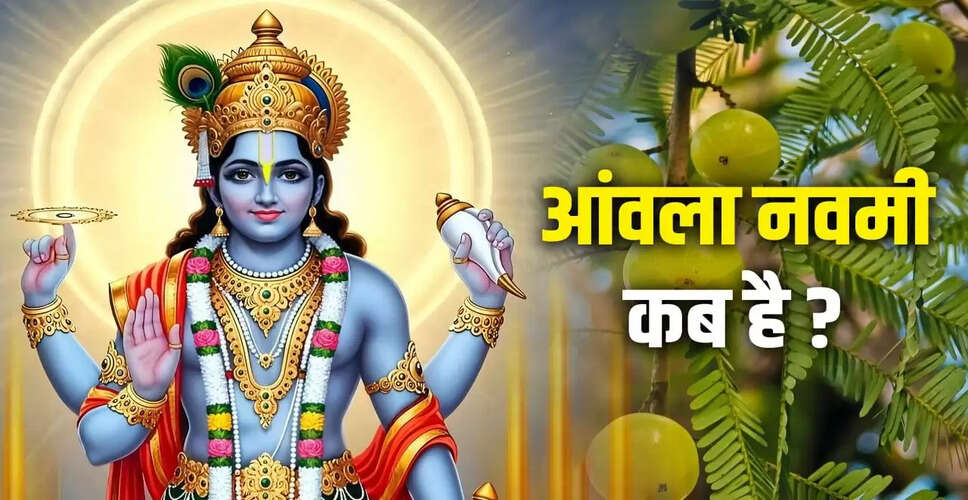 आंवला नवमी 2025: पूजा का सही समय और महत्व