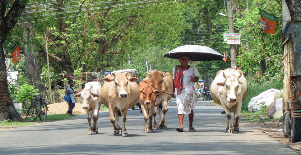 बिहार में पशुपालन: स्वरोजगार का नया माध्यम