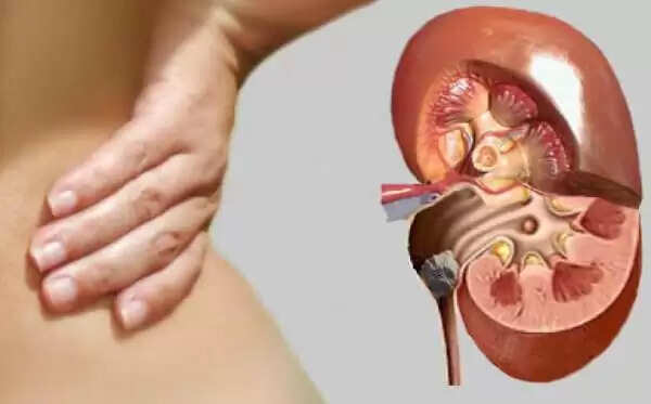ग्रीन टी के फायदे और नुकसान: जानें सीमित सेवन क्यों है जरूरी