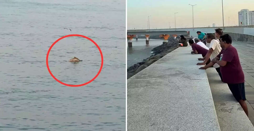 डॉल्फिन का अद्भुत नजारा: मुंबई के वर्ली सी-फेस पर वायरल वीडियो