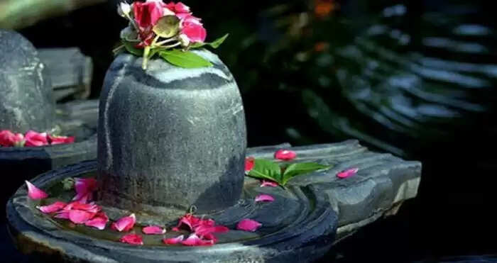 तुलसी के पास न रखें ये चीजें, वरना हो सकता है नुकसान