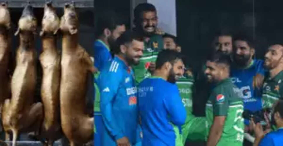 इरफान पठान का शाहिद अफरीदी पर मजेदार ताना, कुत्ते का मांस खाने का जिक्र