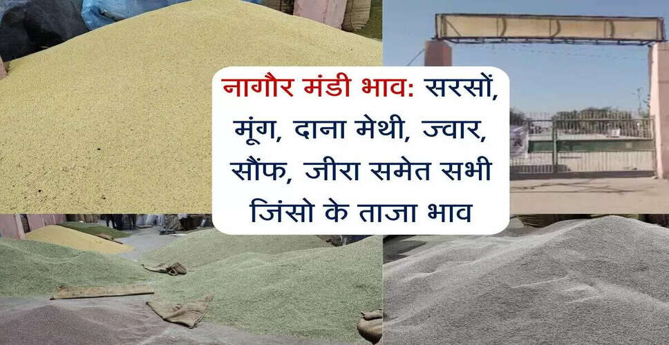 नागौर मंडी में फसलों के भाव में बदलाव: 30 जून 2025