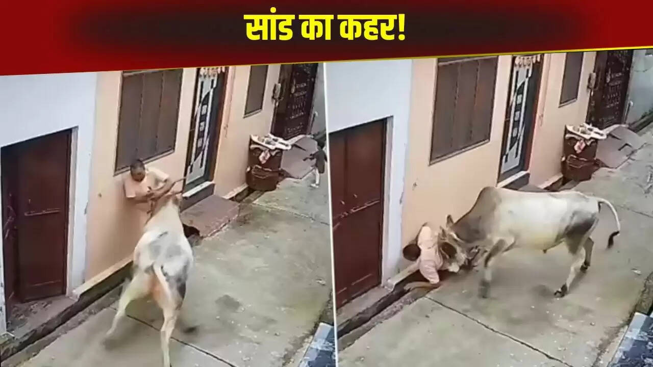 आवारा सांड का बुजुर्ग पर हमला: मुजफ्फरनगर में खौफनाक मंजर