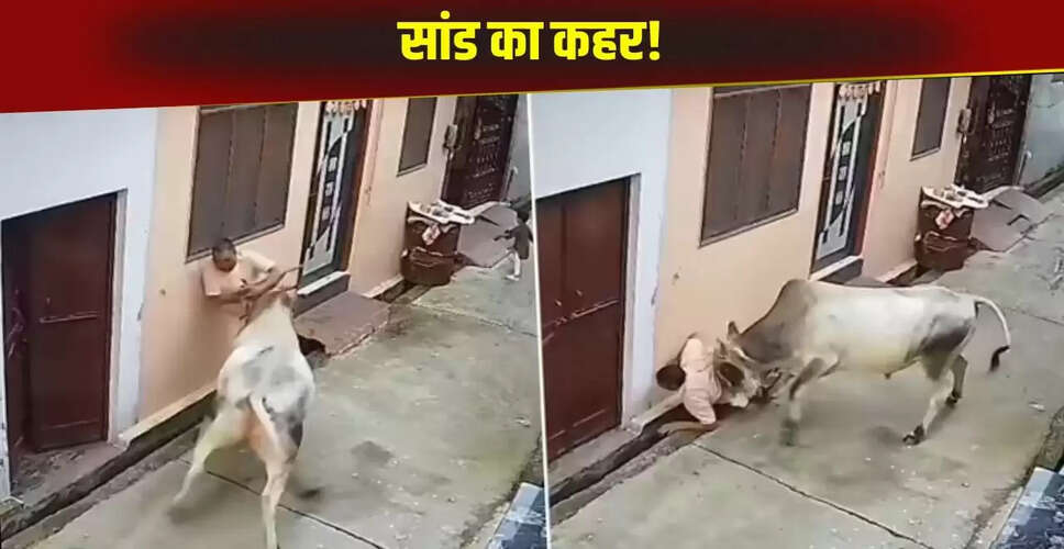 आवारा सांड का बुजुर्ग पर हमला: मुजफ्फरनगर में खौफनाक मंजर