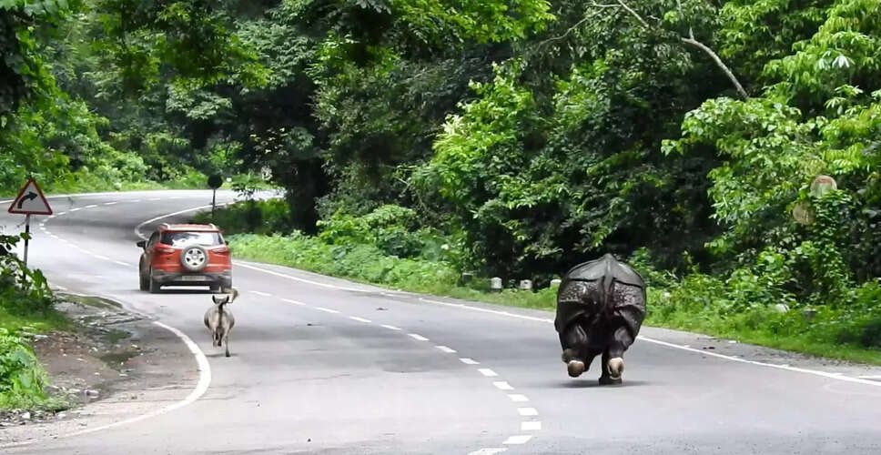 काजीरंगा नेशनल पार्क के पास प्रस्तावित Elevated Corridor पर उठे सवाल