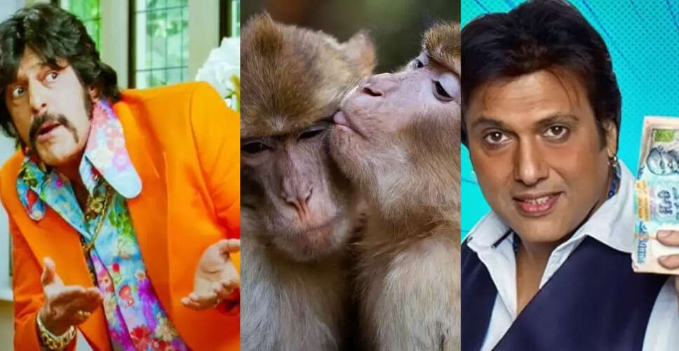 बॉलीवुड फिल्म 'आंखें' में बंदर की फीस ने गोविंदा और चंकी को पीछे छोड़ा