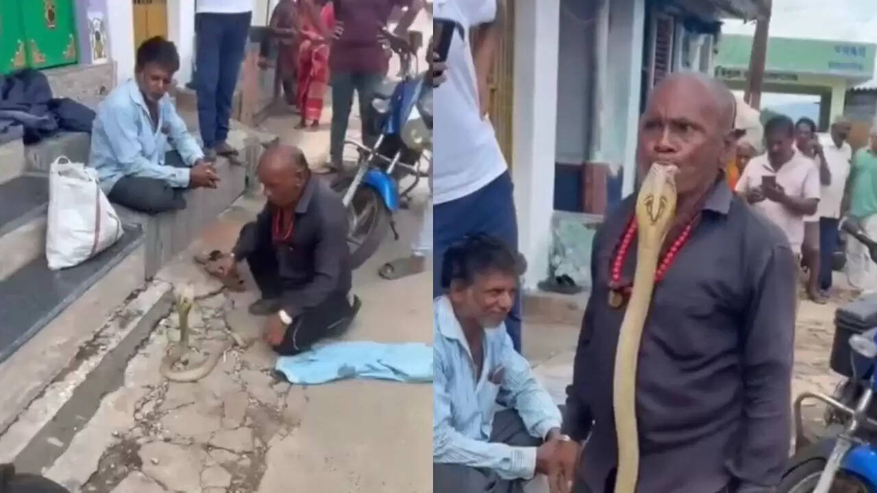 कोबरा के साथ खतरनाक खेल: वायरल वीडियो ने सबको किया हैरान