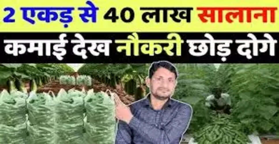 चंदन की खेती: एक लाभकारी व्यवसाय का मार्गदर्शन