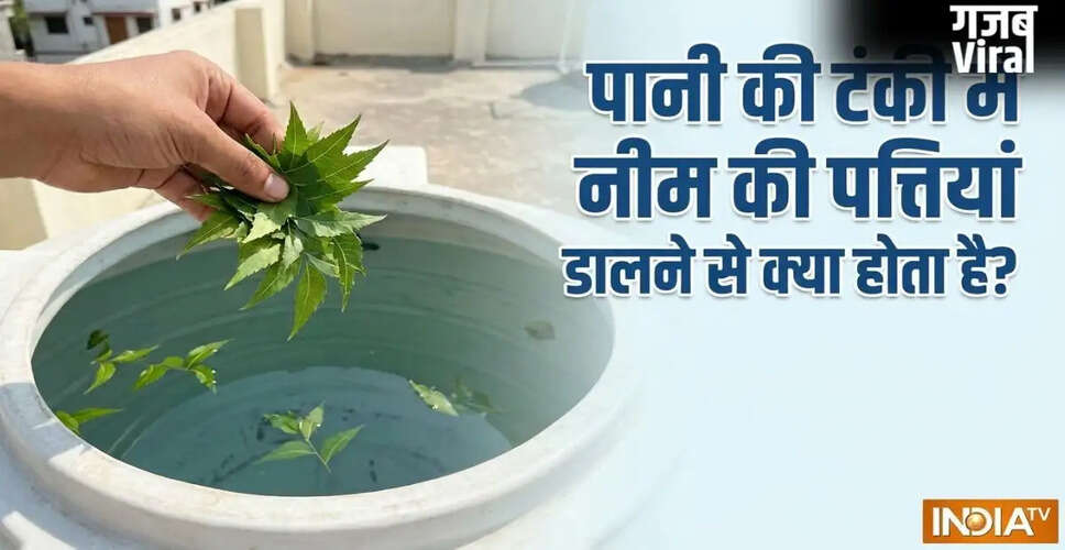 पानी की टंकी में नीम की पत्तियां डालने के फायदे