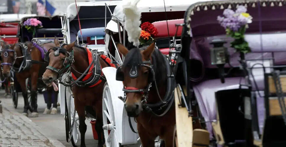 न्यूयॉर्क के सेंट्रल पार्क में घोड़े की गाड़ी के पलटने से भारतीय पर्यटक की मौत