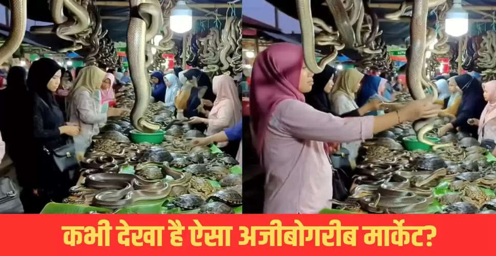 सांपों का अनोखा बाजार: सोशल मीडिया पर वायरल वीडियो