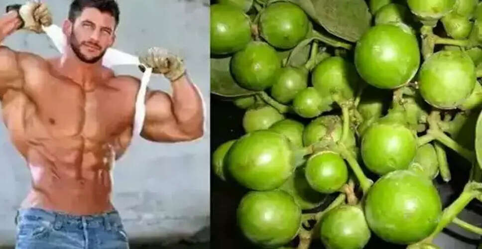 लसोड़ा फल: मांस से भी ज्यादा ताकतवर, जानें इसके अद्भुत फायदे