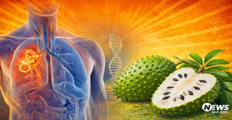 ग्रेविओला: कैंसर से लड़ने वाला रामफल और इसके स्वास्थ्य लाभ