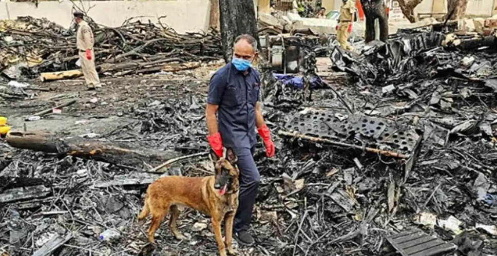 Ahmedabad Plane Crash: DNA Matching Completed for 87 Victims