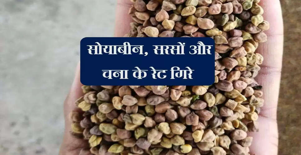 कोटा मंडी में कृषि जिंसों की आवक में कमी, लहसुन के भाव में उतार-चढ़ाव