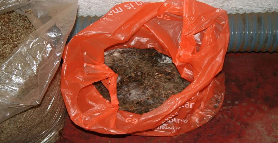 पालघर में गुटखा भंडारण के आरोप में दुकानदार की गिरफ्तारी