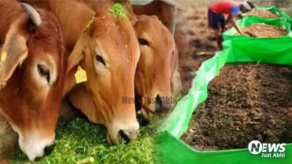 गाय के गोबर से बनी जैविक खाद से किसानों को मिल रहा लाभ