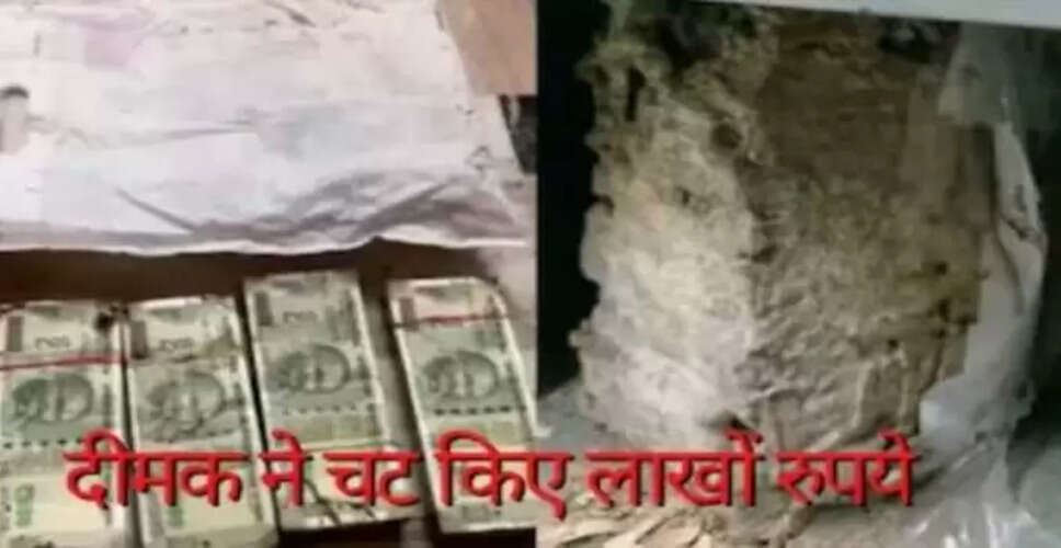 बैंक लॉकर में रखे 18 लाख रुपये दीमक ने खा लिए, ग्राहक हैरान