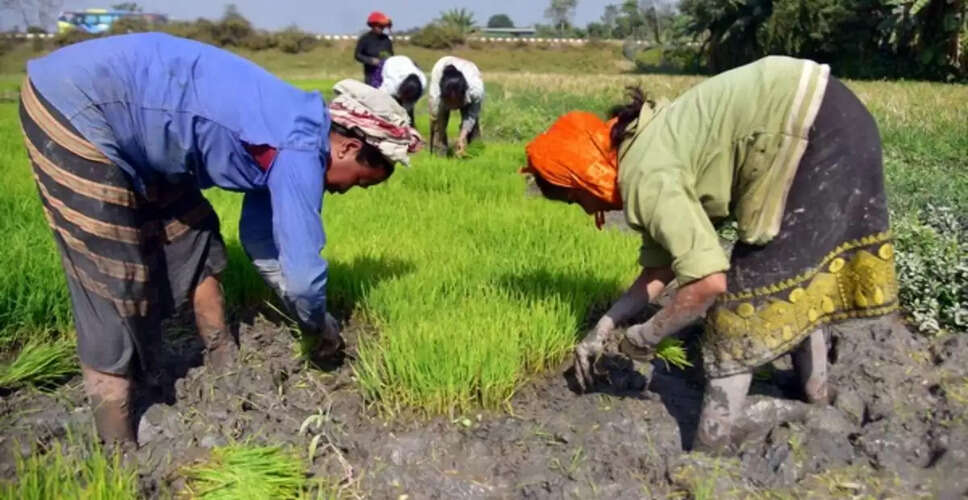 सरकार ने खरीफ फसलों के लिए न्यूनतम समर्थन मूल्य में वृद्धि की