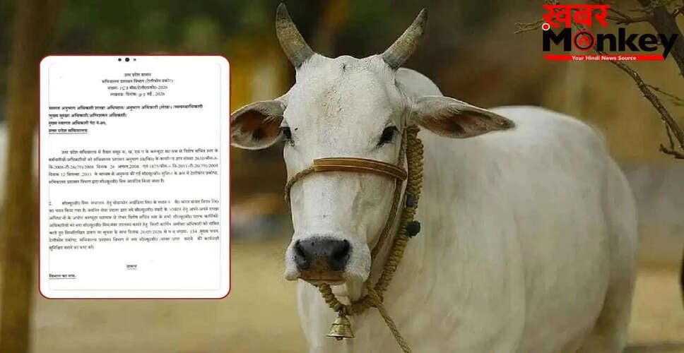 बरेली में शिक्षकों को गोवंश के लिए भूसा जुटाने का आदेश, नाराजगी बढ़ी