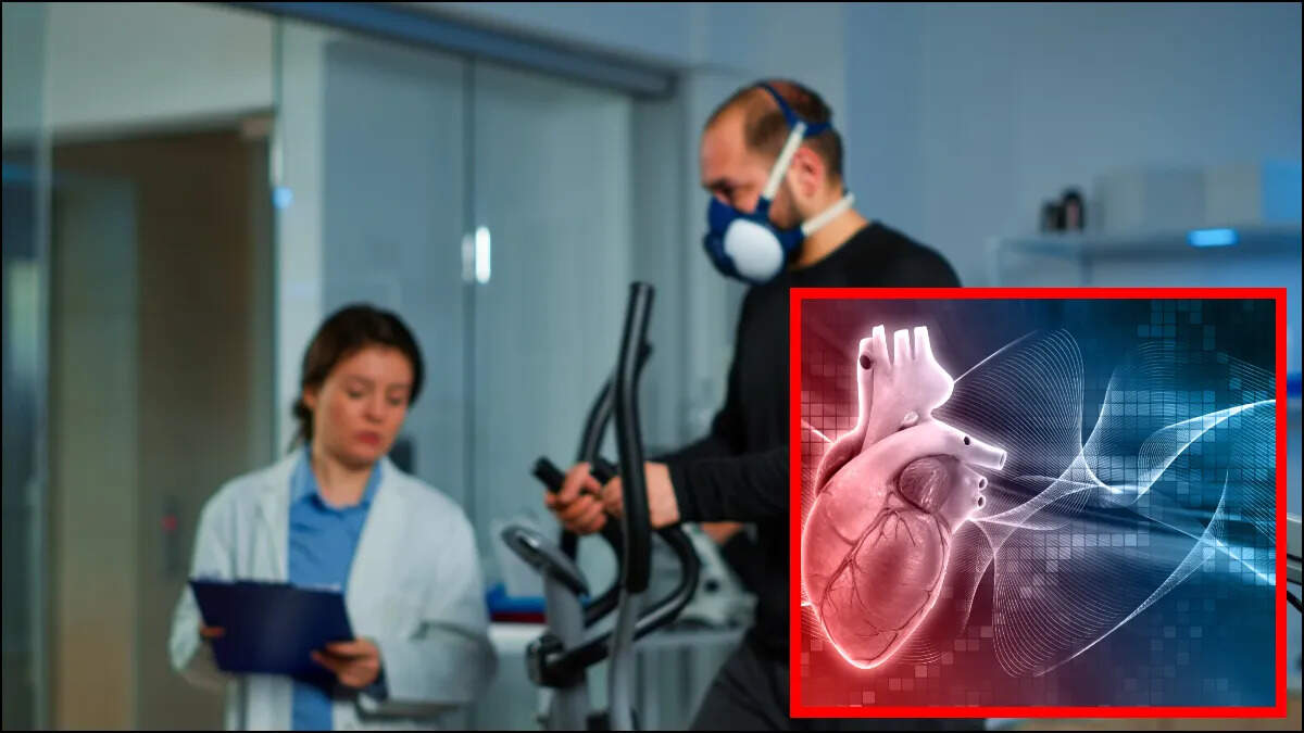 दिल की धड़कन: जानें इसकी शक्ति और स्वास्थ्य के लिए महत्व