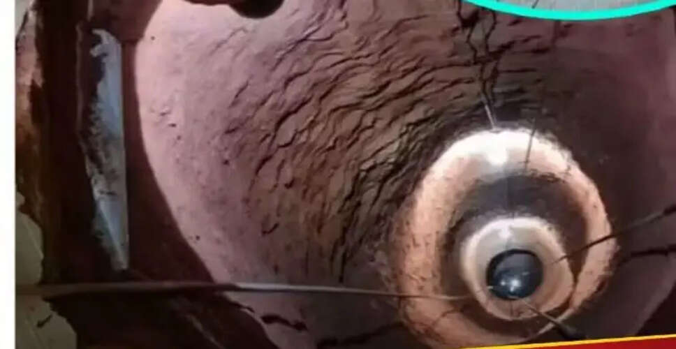 ब्राजील में खजाने की खोज में 71 वर्षीय व्यक्ति की दुखद मौत