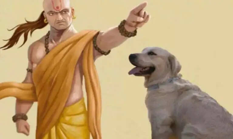 आचार्य चाणक्य की नीतियों से सीखें कुत्ते के गुण