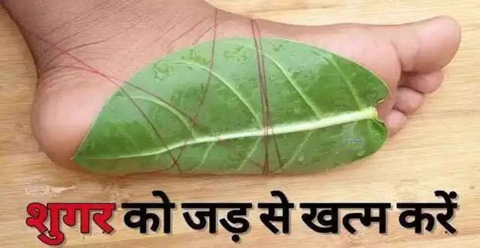 शुगर के इलाज के लिए घरेलू उपाय: आक के पत्ते का उपयोग